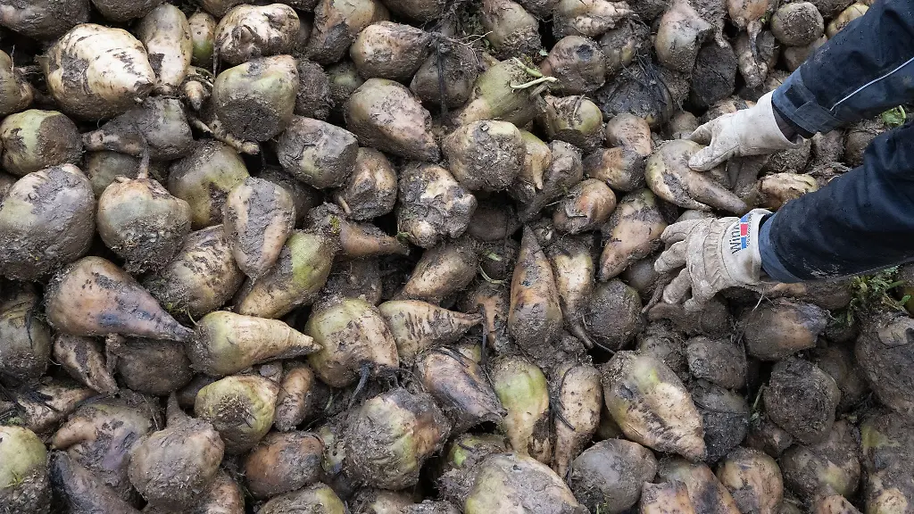 Mehrere-Tonnen-Zuckerrueben-wurden-auf-einer-Autobahn-verteilt