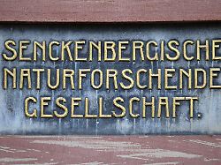 Hessen: Internationaler Knotenpunkt für Naturschutz