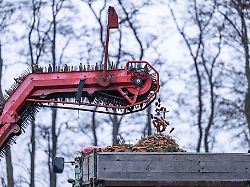 Nordrhein-Westfalen: Erntejahr 2026: Landwirte in NRW sind optimistisch