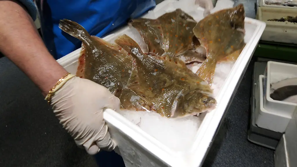 f45b662117e6195b84c6ff2dd26f251b