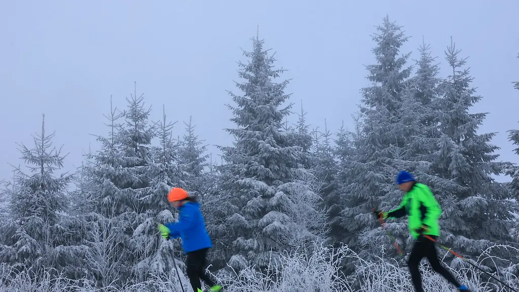 Reichlich-Schnee-in-den-vergangenen-Tagen-hat-fuer-gute-Bedingungen-auf-der-Kammloipe-gesorgt