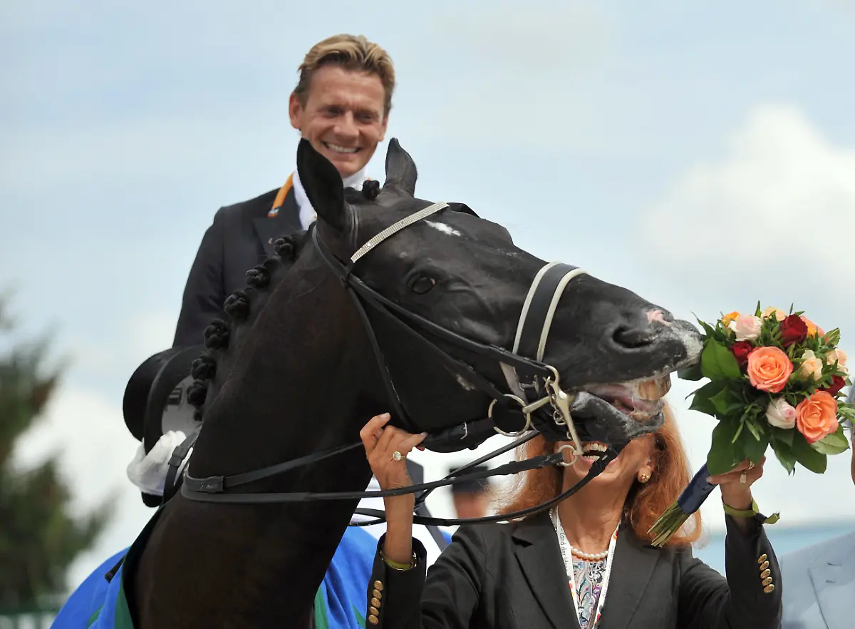 d6de9f27d4b145a2a5975402d2eca463