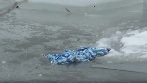 eisbader-tot