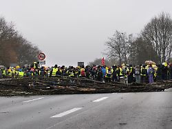 Mecklenburg-Vorpommern: AfD-Jugendverband in MV gegründet - 120 Mitglieder