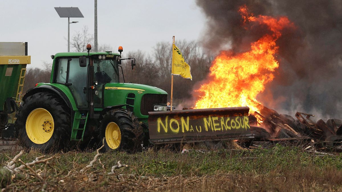 Vom-Widerstand-zur-Einigung-Warum-die-Agrarlobby-den-Mercosur-Deal-fast-verhinderte