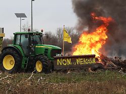 Vom Widerstand zur Einigung: Warum die Agrarlobby den Mercosur-Deal fast verhinderte