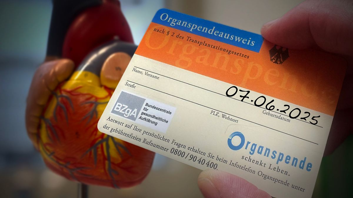 Nieren-machen-gr-ten-Anteil-aus-Zahl-der-Organspender-erreicht-h-chsten-Stand-seit-ber-zehn-Jahren
