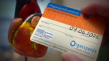 529683056