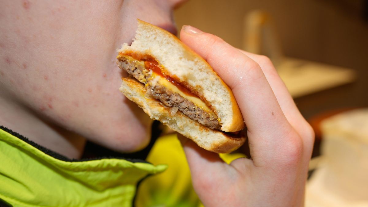 Hamburger-Gleichnis-Warum-junge-Leute-auf-einen-Aktien-Crash-hoffen-sollten