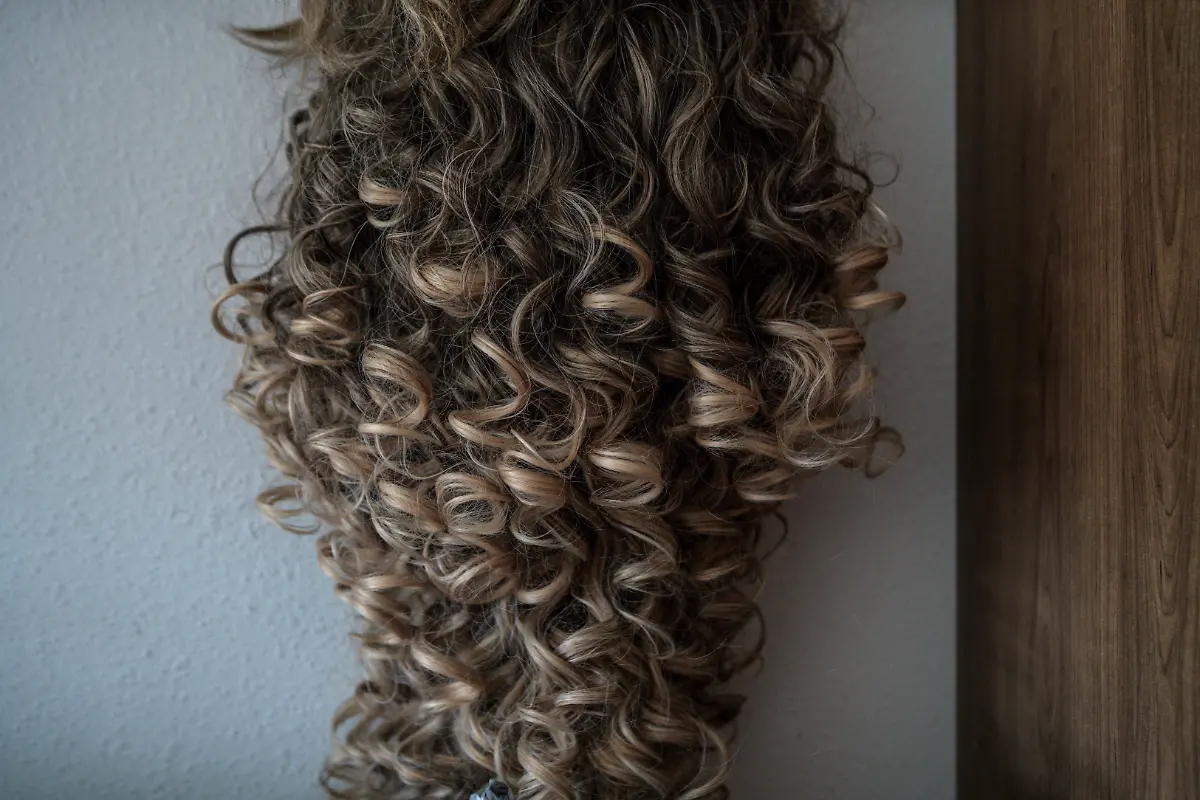 The-wig-of-Kassandra-Rivas-51-at-the-hotel-where-she-is-staying-in-Houston-Texas-U-S-May-14-2025-Rivas-and-other-transgender-Latina-immigrants-were-recently-able-to-celebrate-this-year-as-quinceaneras-thanks-to-the-Organizacion-Latina-de-Trans-en-Texas-a-group-promoting-rights-for-LGBTQ-people-including-transgender-women-from-Latin-America-Something-inside-me-held-a-longing-to-experience-this-moment-as-a-girl-as-a-15-year-old-Rivas-said-I-imagined-myself-standing-before-the-priest-in-church-wearing-a-dress-like-any-other-woman-REUTERS-Gabriel-V-Cardenas-SEARCH-CARDENAS-U-S-QUINCEANERAS-FOR-THIS-STORY-SEARCH-WIDER-IMAGE-FOR-ALL-STORIES-THIS-IMAGE-IS-ONLY-FOR-USE-WITH-THE-STORY-USA-LGBTQ-QUINCEANERAS-NO-STANDALONE-USES