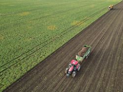 Sachsen-Anhalt: Bauernverband warnt vor steigenden Kosten für Betriebe