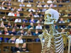 Sachsen: 40 Studienplätze für künftige Landärzte in Sachsen