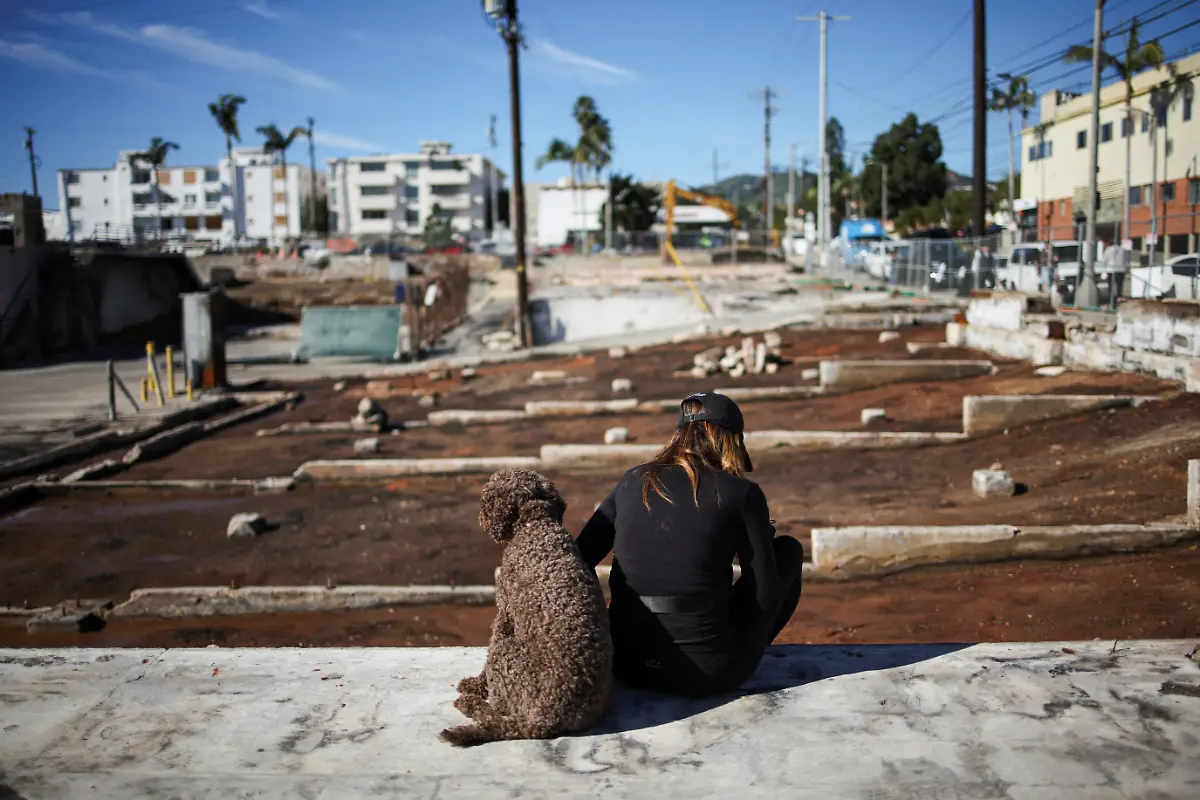 A-woman-with-a-dog-sits-near-a-cleared-lot-during-the-They-Let-Us-Burn-residents-rally-for-fairness-accountability-and-a-vision-for-rebuilding-their-community-on-the-first-anniversary-of-the-deadly-Palisades-Fire-in-the-Pacific-Palisades-neighbourhood-in-Los-Angeles-California-U-S-January-7-2026