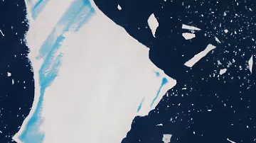 569171384