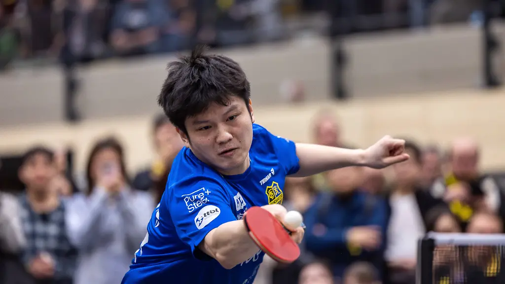 12-01-2026-Tischtennis-Saison-2025-2026-12-Spieltag-TTBL-Borussia-Dortmund-1-FC-Saarbruecken-TT-Fan-Zhendong-1