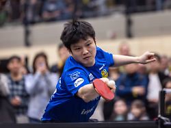 Riskanter Coup für Bolls Borussia: Düsseldorf bricht mit Superstar Fan in neue Dimensionen auf