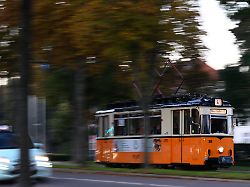 Sachsen-Anhalt: Wie es um die Zukunft der "Wilden Zicke" steht