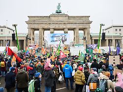 Berlin & Brandenburg: "Wir haben es satt!" – Demonstration für andere Agrarpolitik