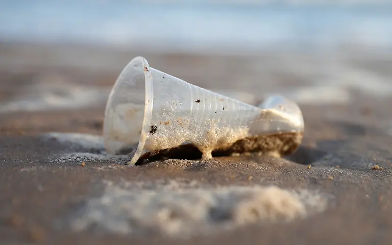 2018-11-19T112714Z-128077837-RC14EB9C8700-RTRMADP-3-GLOBAL-PLASTIC