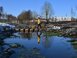 Thüringen: Von Garagen zu Blumen: Was die Landesgartenschau bietet