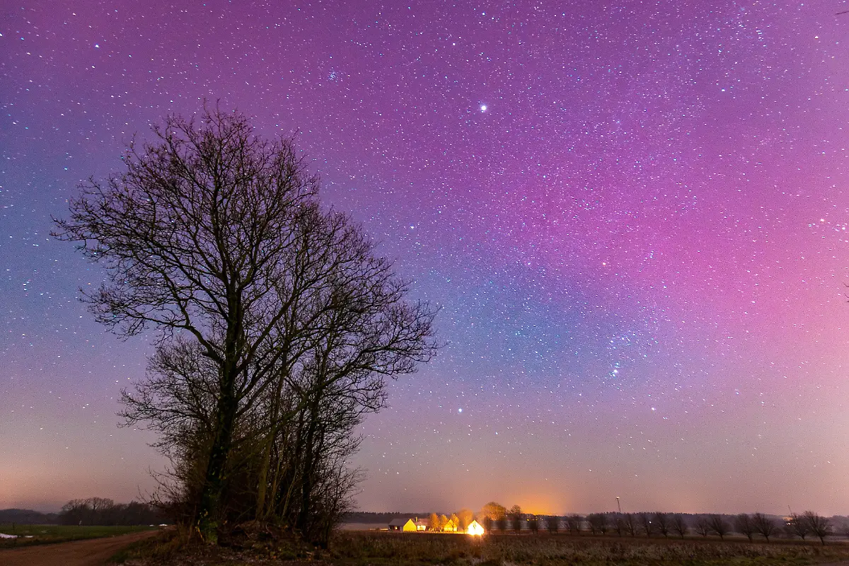 20-01-2026-Lila-Polarlichter-sichtbar-in-der-Nacht-vom-Montag-auf-Dienstag-in-Hammerun-naehe-Herning-Auch-in-Deutschland-waren-Polarlichter-zu-sehen