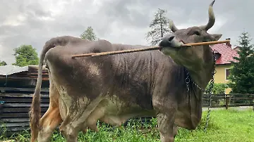 569760023