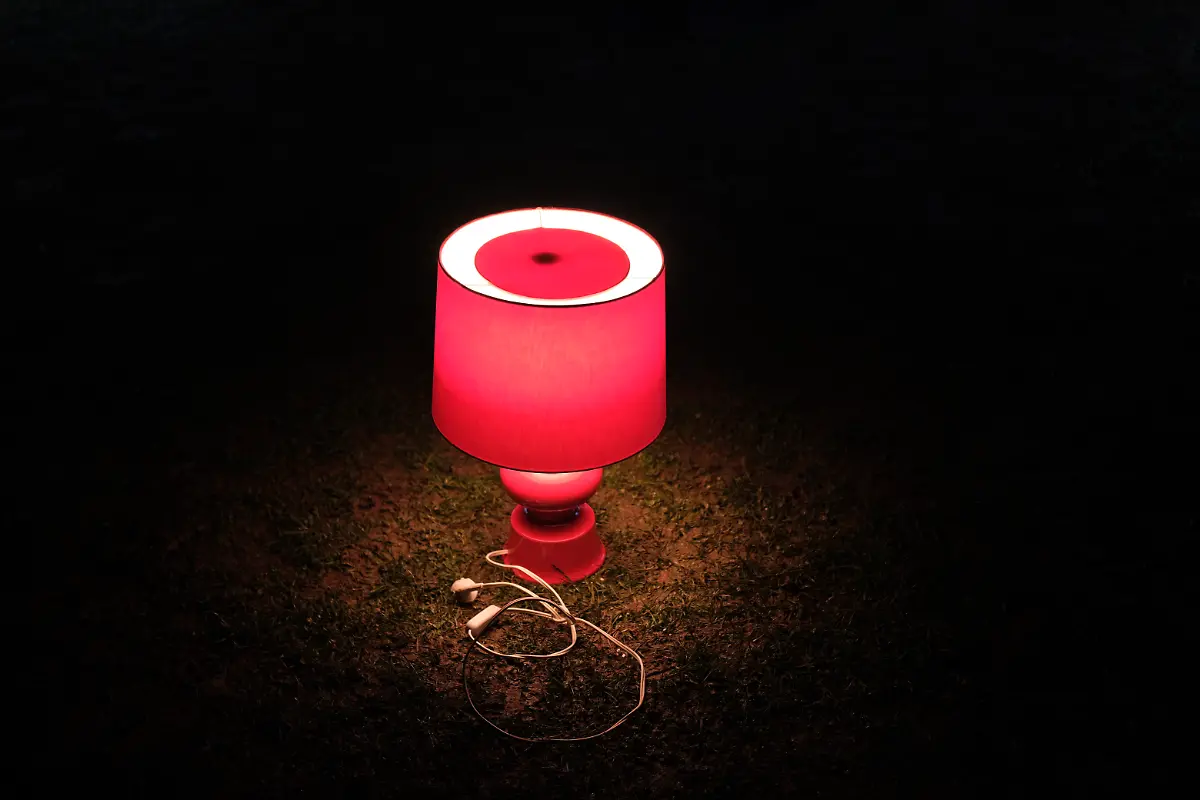 AFFBAB77-C9EB-489F-AFDA-641DC9EF4E4F