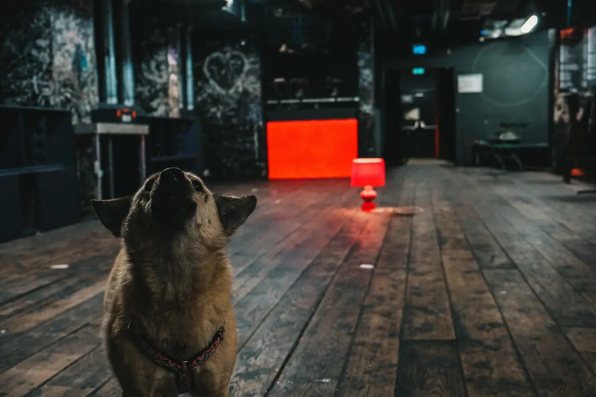 59E73AAA-7912-473E-9D2C-0FF83327D85F