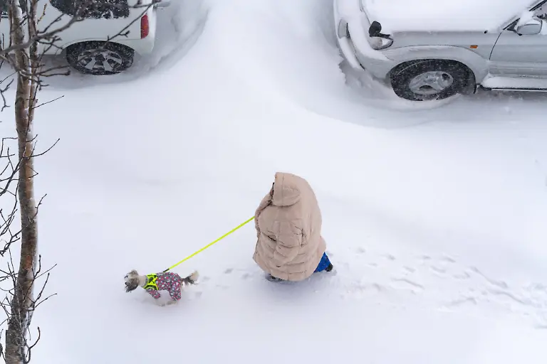 Russia-Weather-9086817-15-01-2026-A-woman-walks-with-a-dog-during-a-heavy-snowfal-in-Petropavlovsk-Kamchatsky-Kamchatka-Territory-Russia
