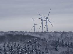 "Größter Betrug der Geschichte": Trump geißelt Europa für "katastrophale" Energieversorgung