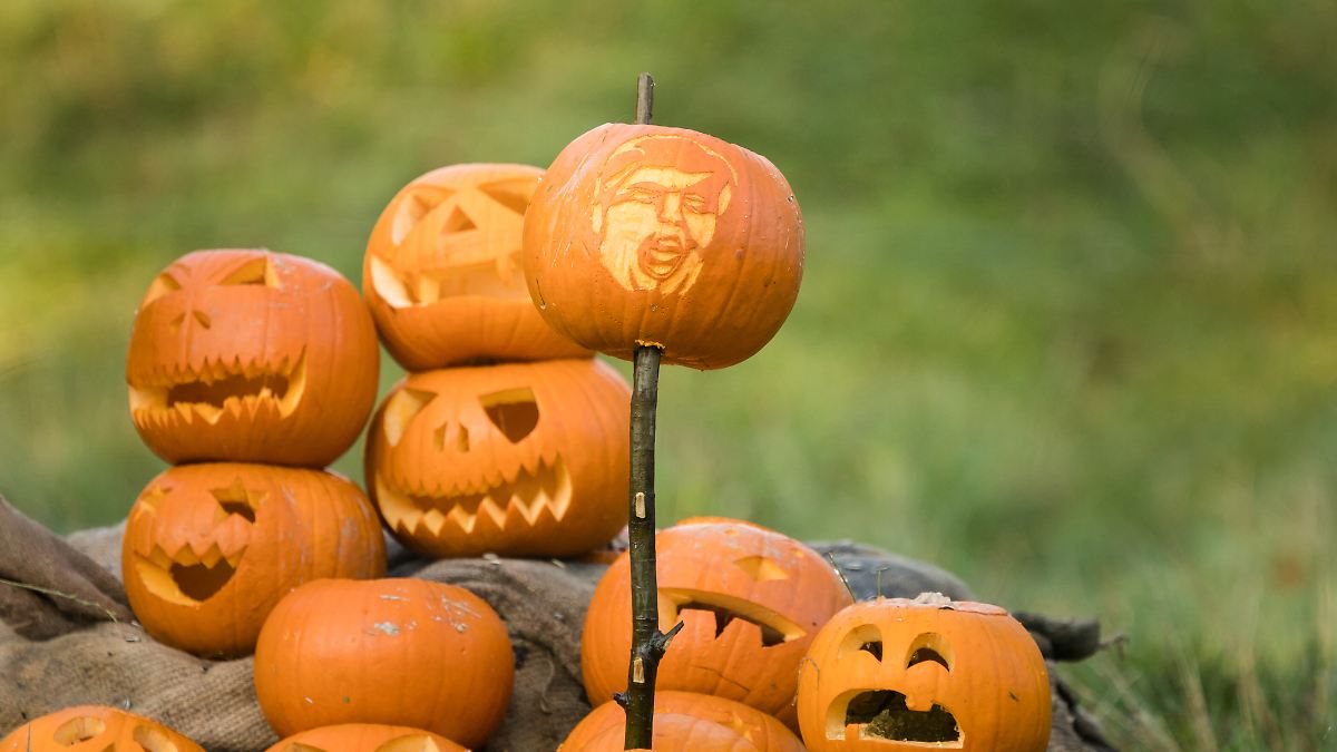 K-rbis-Saison-eigentlich-vorbei-Gr-nen-Chefin-filetiert-orangenes-Fruchtgem-se-und-redet-ber-Trump