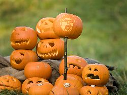 Kürbis-Saison eigentlich vorbei: Grünen-Chefin filetiert orangenes Fruchtgemüse und redet über Trump