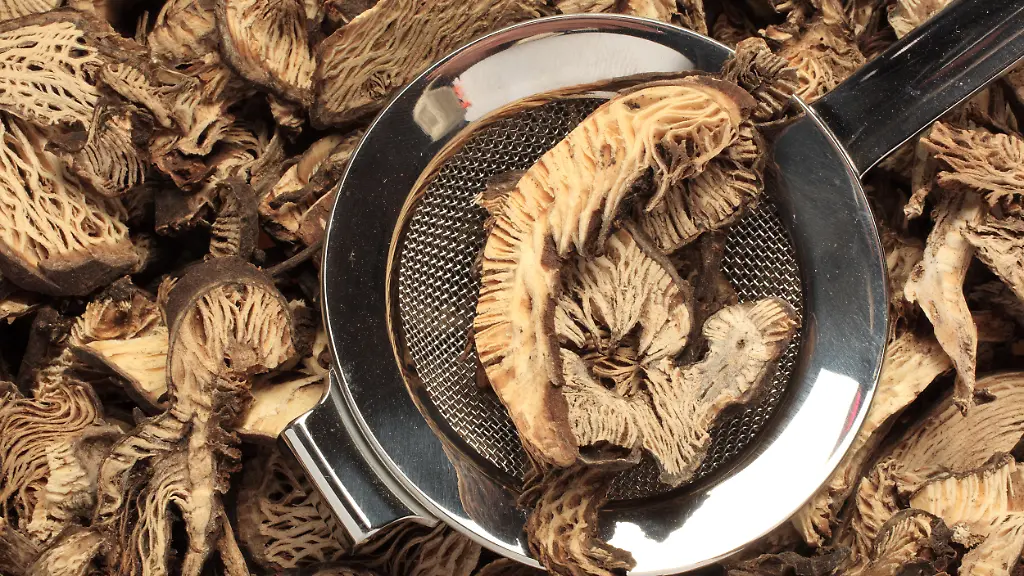 Heilpflanze-Traubensilberkerze-getrocknete-Wurzel-dried-roots-of-the-medicinal-plant-Black-Snake-Root-Cimicifuga-racemosa