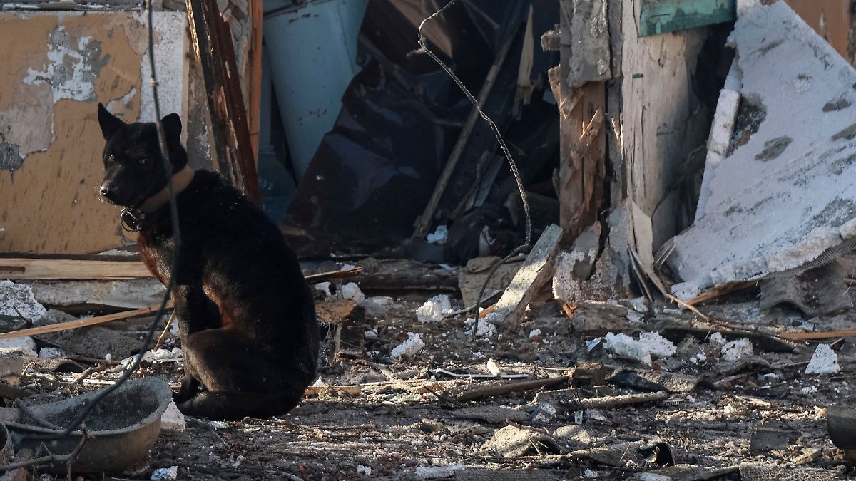 Weitere-Einwohner-haben-Gl-ck-Jugendlicher-bei-russischem-Angriff-auf-S-dukraine-get-tet