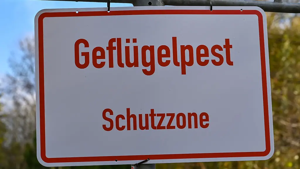Nach-einem-Vogelgrippe-Ausbruch-in-einem-Betrieb-im-Landkreis-Giessen-sind-jetzt-auch-Teile-des-Wetteraukreises-von-der-Stallpflicht-betroffen