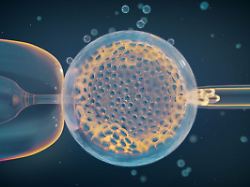 Urn Binary Dpa Com 20090101 260121 99 240594 FILED MASONRY