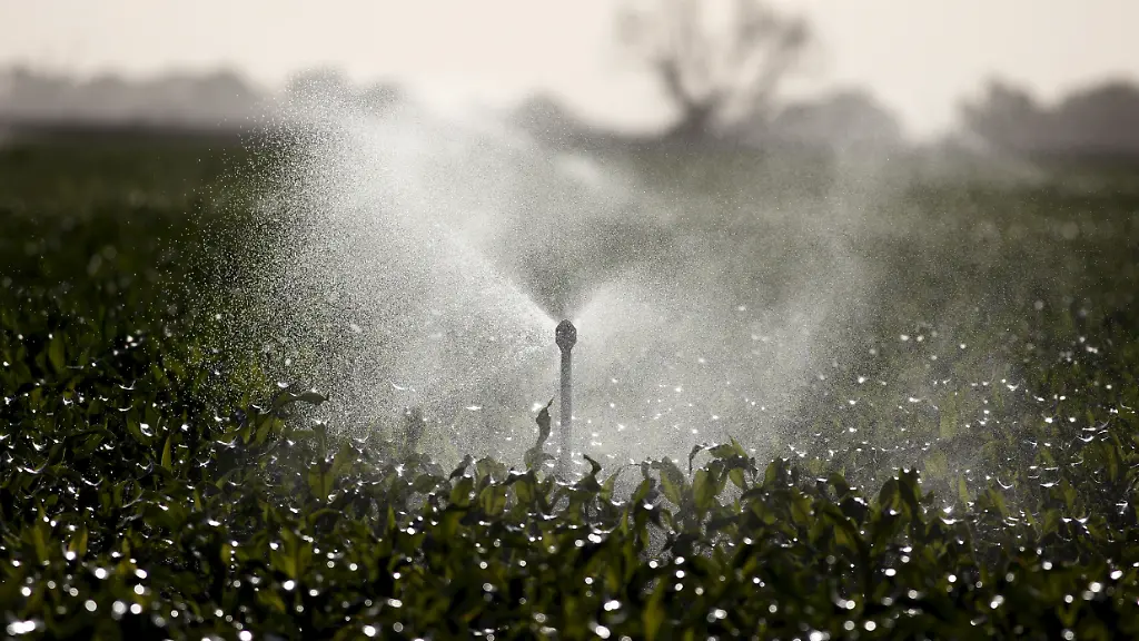 2015-05-06T120000Z-2069488593-GF10000085457-RTRMADP-3-USA-CALIFORNIA-DROUGHT-1