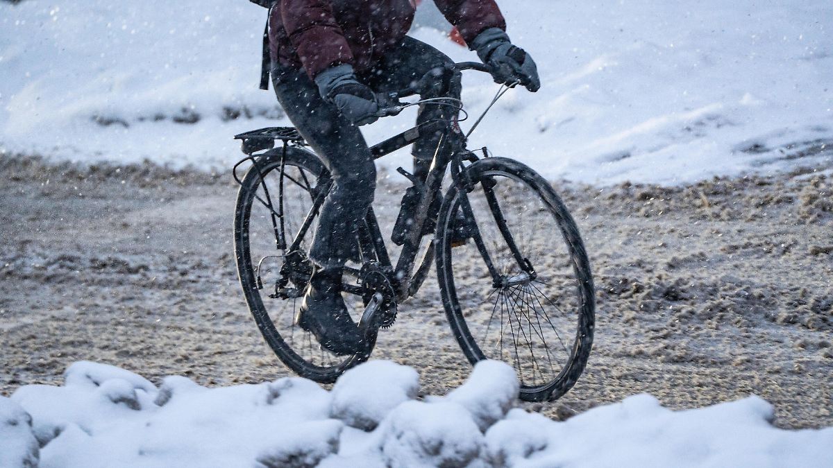 Untersch-tztes-Risiko-Fachleute-fordern-niedrigere-Promillegrenze-f-r-Radfahrer