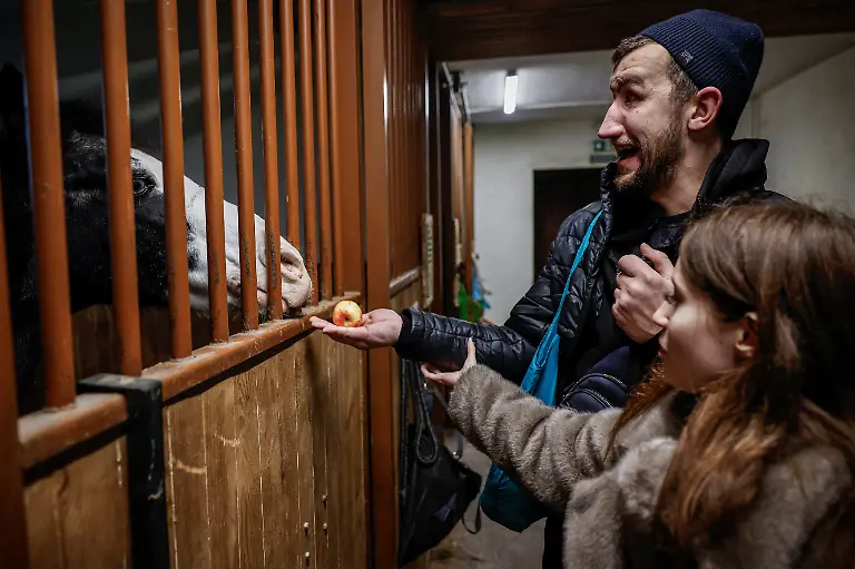 Ukrainian-soldier-Andrii-Onopriienko-31-who-lost-both-eyes-in-2023-and-is-now-a-member-of-the-Veterans-Theatre-group-feeds-a-horse-with-the-help-of-Valeriia-the-assistant-of-a-Trinity-hub-rehabilitation-centre-amid-Russia-s-attack-on-Ukraine-in-Kyiv-Ukraine-December-2-2025-Like-the-other-veterans-in-his-Kyiv-based-group-of-around-15-actors-Onopriienko-has-found-healing-and-fulfilment-on-stage-after-a-friend-told-him-about-a-theatre-looking-for-injured-veterans-and-suggested-he-join-Yes-we-might-not-have-an-arm-or-legs-or-eyes-but-we-aren-t-giving-up-he-said-It-s-rehabilitation-and-socialisation-it-s-positive-emotions-REUTERS-Alina-Smutko-SEARCH-UKRAINE-SMUTKO-THEATRE-FOR-THIS-STORY-SEARCH-WIDER-IMAGE-FOR-ALL-STORIES