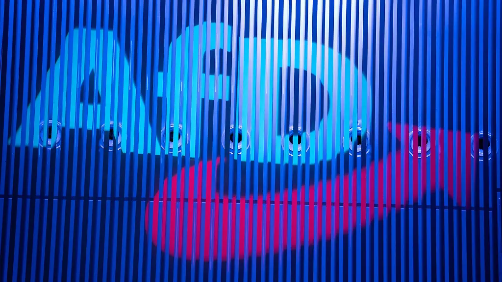 Die-AfD-Pforzheim-muss-ihre-Wahlplakate-wieder-abhaengen