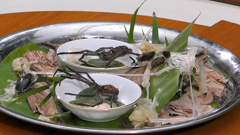 ACHTUNG-SPERRFRIST-FUeR-ALLE-MEDIEN-BIS-ZUM-SHOWENDE-FREITAG-23-JANUAR-2026-23-50-UHR-Hundsmanspinne-samt-Brutsack-Die-Verwendung-des-sendungsbezogenen-Materials-ist-nur-mit-dem-Hinweis-und-Verlinkung-auf-RTL-gestattet