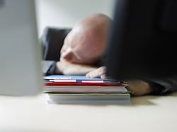 Reset für Nervenzellen: Studie: Kurzer Mittagsschlaf stärkt das Gehirn