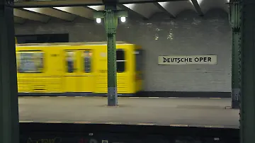 43260038