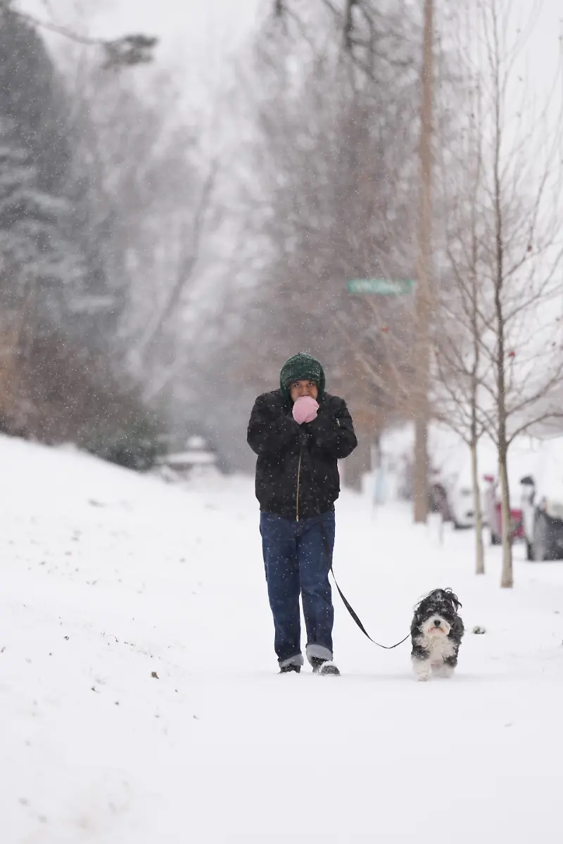 A-person-walks-a-dog-on-a-snow-covered-sidewalk-during-a-winter-storm-Saturday-Jan-24-2026-in-St-Louis