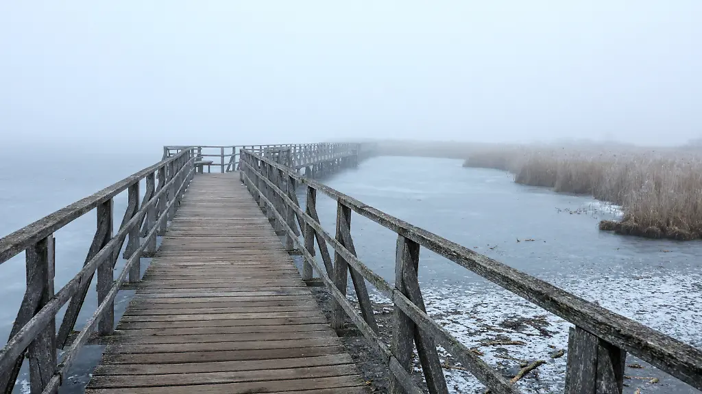 Blick-am-Morgen-im-Nebel-auf-den-1-5-Kilometer-langen-Federseesteg-auf-den-Federsee-Der-Federsee-bei-Bad-Buchau-in-Oberschwaben-Landkreis-Biberach-ist-mit-einer-Flaeche-von-1-4-Quadratkilometer-der-zweitgroesste-See-in-Baden-Wuerttemberg