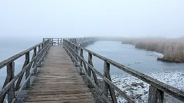 571089977