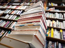 Rheinland-Pfalz & Saarland: Die Bibliothek wird hybrid - Was Rheinland-Pfälzer ausleihen