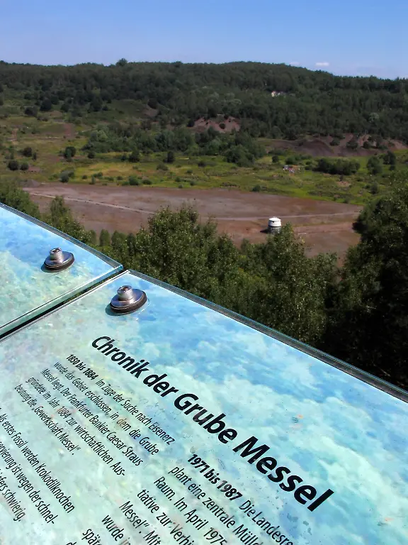 Informationstafel-an-der-Grube-Messel-Fundort-fuer-Fossilien
