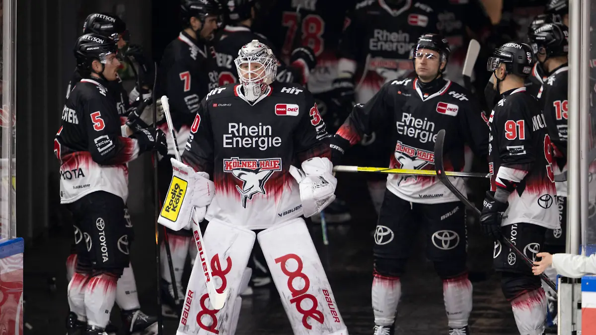 PENNY-DEL-1-Koelner-Haie-Nuernberg-Ice-Tigers-Koeln-25-01-2026-Janne-Juvonen-Koelner-Haie-Torwart-30-Robin-van-Calster-Koelner-Haie-Sturm-5-Maxi-Kammerer-Koelner-Haie-Sturm-9-Moritz-Mueller-Koelner-Haie-Verteidigung-91-PENNY-DEL-1-Koelner-Haie-Nuernberg-Ice-Tigers-am-25-01-2026-in-der-Lanxess-Arena-in-Koeln-Deutschland