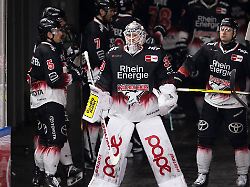 Wo ist eigentlich die Konkurrenz?: Die Kölner Haie verspeisen einfach eine ganze Liga